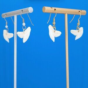 Earrings Tiger Shark Tooth Genuine Shark Teeth Dangle Ear Wires Silver or Gold